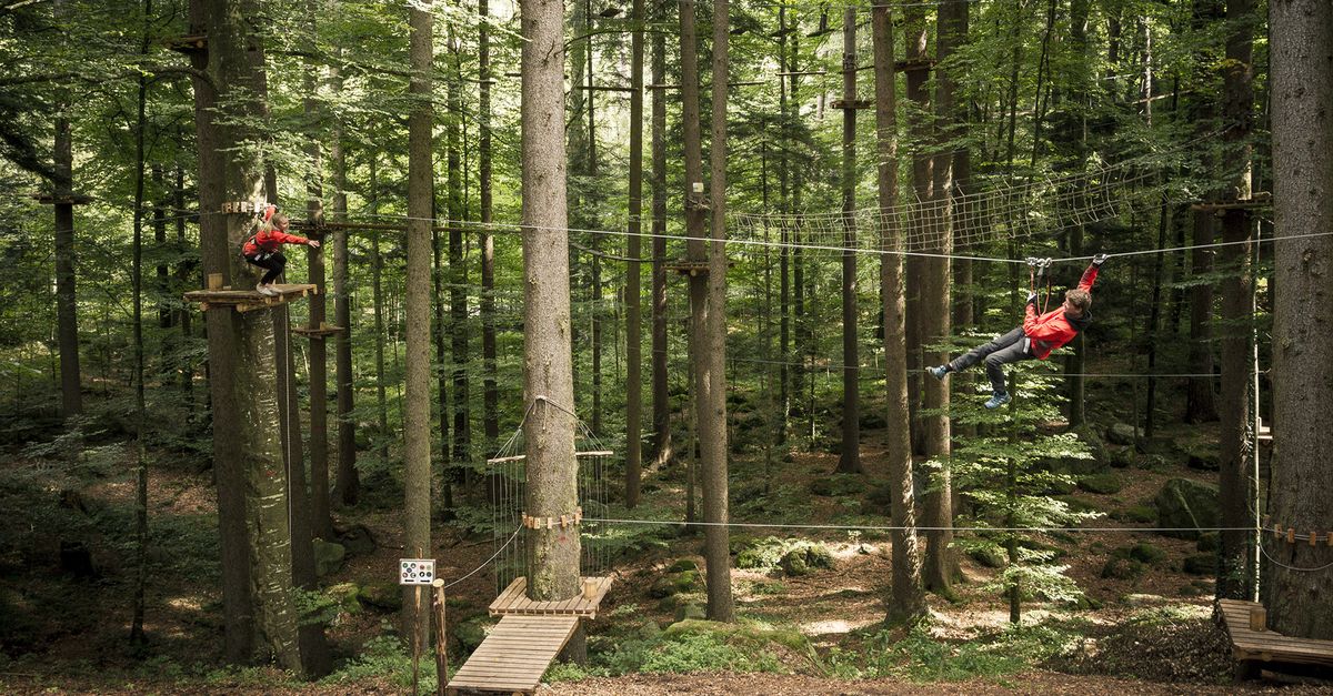 Meeting Destination Interlaken Interlaken Rope Park